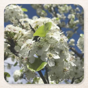 Schöne Blume Untersetzer Set