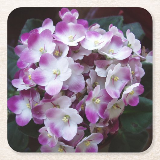 Schöne Blume Untersetzer Set (Vorderseite)