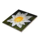 Schöne Blume Weißwasserlilie Fliese (Seite)