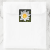 Schöne Blume Weißwasserlilie Quadratischer Aufkleber (Tasche)