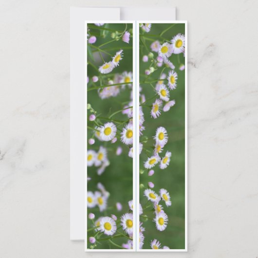 Schöne Blume Zwei Lesezeichen (Rückseite)