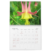 Schöne Blumen alles Jahr lang Kalender (Feb 2027)