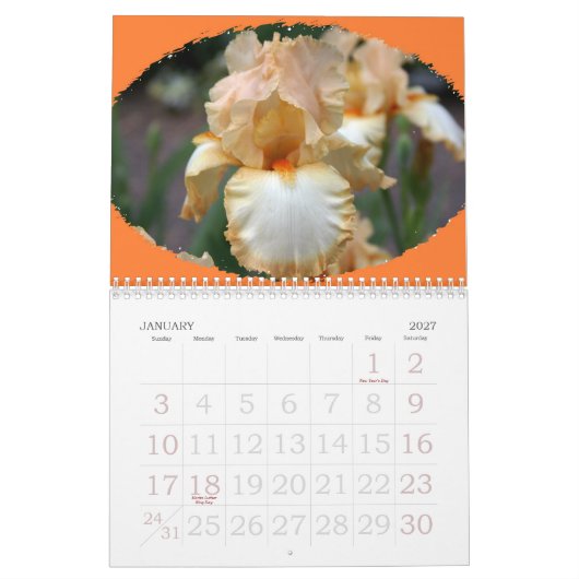 Schöne Blumen alles Jahr lang Kalender (Jan 2027)