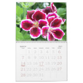 Schöne Blumen alles Jahr lang Kalender (Mär 2027)