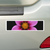 Schöne Blumen Autoaufkleber (Auf Auto)