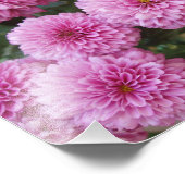 Schöne Blumen Foto Druck (Ecke)