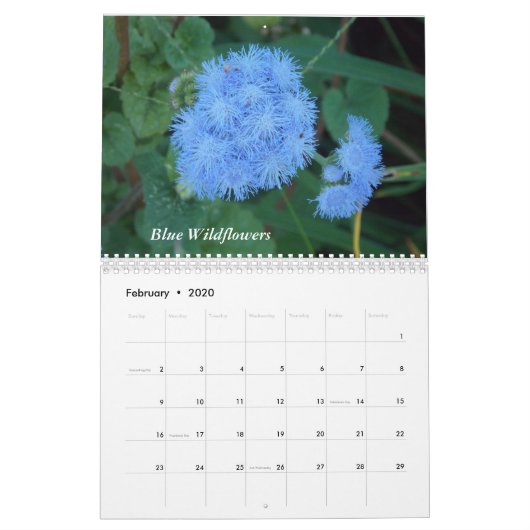 Schöne Blumen Kalender (Feb 2020)