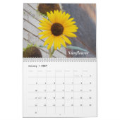 Schöne Blumen Kalender (Jan 2027)