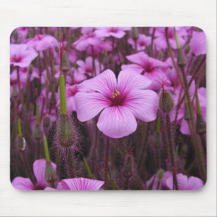 Schöne Blumen Mousepad