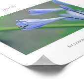 Schöne Blumen Schönes Poster (Ecke)