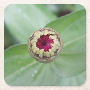 Schöne Blumenbilder Untersetzer Set
