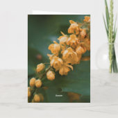 Schöne Blumenfotografie leere Karte (Rückseite)