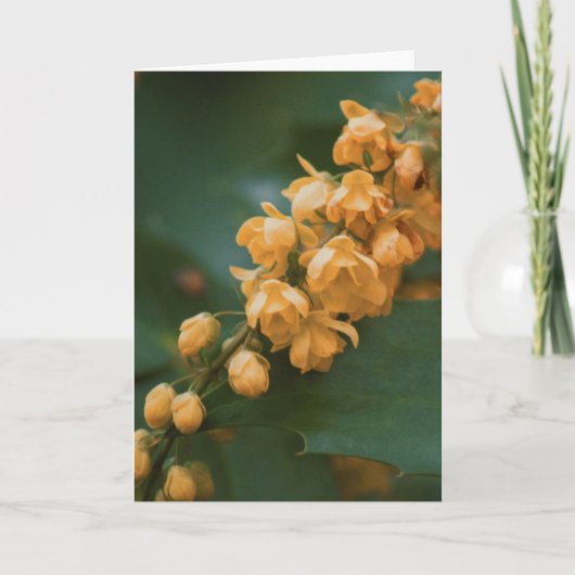 Schöne Blumenfotografie leere Karte (Vorderseite)