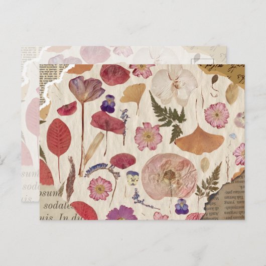Schöne Blumenpresse Postkarte (Vorne/Hinten)