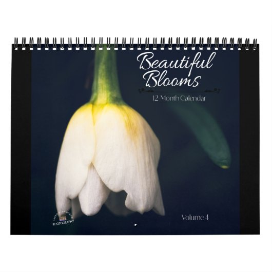 Schöne Blüten 12-Monats-Kalender Kalender (Titelbild)