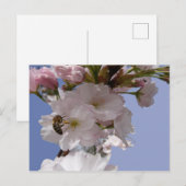 Schöne Blüten mit Bee DIY Postcard Postkarte (Vorne/Hinten)