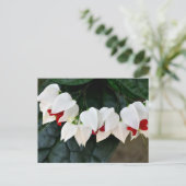 Schöne Blutungen Herz-Blume Postkarte (Stehend Vorderseite)