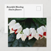 Schöne Blutungen Herz-Blume Postkarte (Vorne/Hinten)