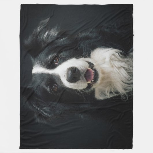 SCHÖNE BORDER-COLLIE FLEECEDECKE (Vorderseite)