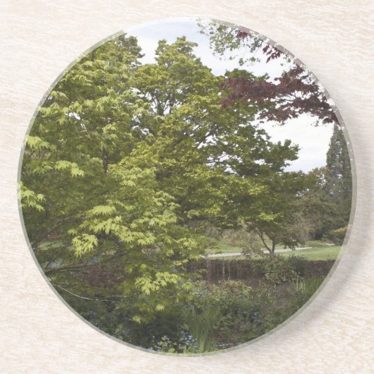 Schöne botanische Garten. Getränkeuntersetzer (Vorne)