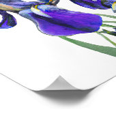Schöne botanische Wasserfarben Blaue Iris Blumen Poster (Ecke)