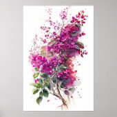 Schöne Bougainvillea Poster (Vorne)