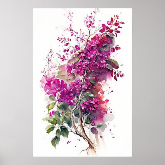 Schöne Bougainvillea Poster (Vorne)