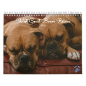 Schöne Boxer 2021 Kalender (Titelbild)