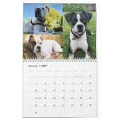 Schöne Boxer 2021 Kalender (Jan 2027)