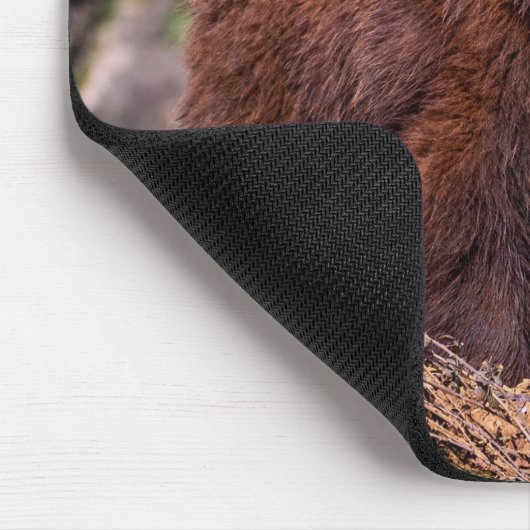 Schöne braune Bärenmousepad Mousepad (Ecke)