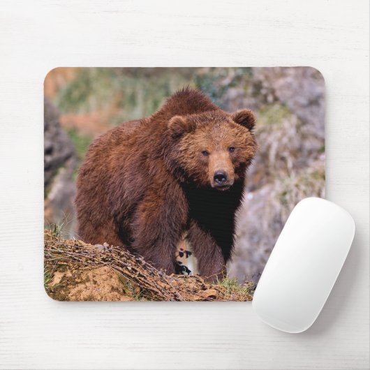 Schöne braune Bärenmousepad Mousepad (Mit Mouse)