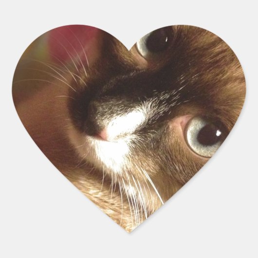 Schöne braune Katze Herz-Aufkleber (Vorderseite)