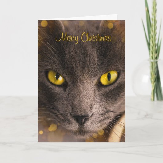 Schöne braune Katze mit goldenem Licht Weihnachten Karte (Vorderseite)
