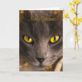Schöne braune Katze mit goldenem Licht Weihnachten Karte (Gelbe Blume)