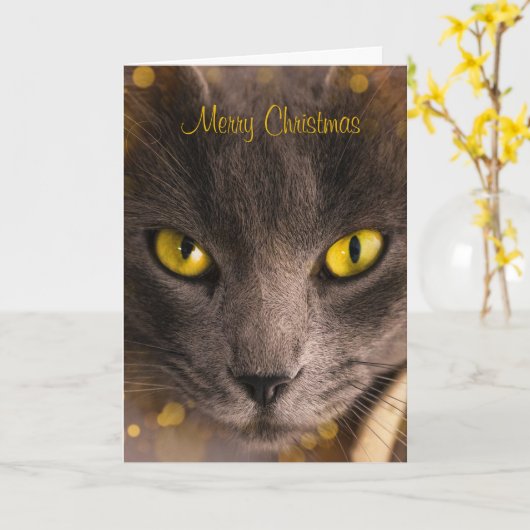 Schöne braune Katze mit goldenem Licht Weihnachten Karte (Gelbe Blume)