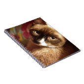 Schöne braune Katze Notizblock (Rechte Seite)