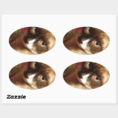 Schöne braune Katze Ovaler Aufkleber (Blatt)