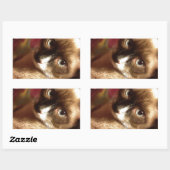 Schöne braune Katze Rechteckiger Aufkleber (Blatt)