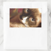 Schöne braune Katze Rechteckiger Aufkleber (Tasche)