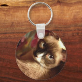 Schöne braune Katze Schlüsselanhänger (Vorderseite)