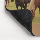 Schöne braune Pferde Mousepad (Ecke)