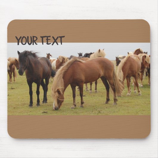 Schöne braune Pferde Mousepad (Vorne)