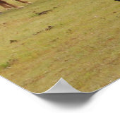 Schöne braune Pferde Poster (Ecke)