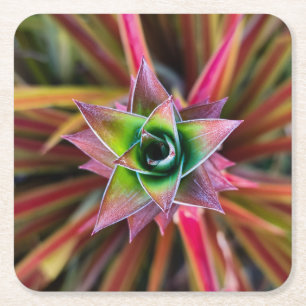 Schöne Bromeliad Blume Rechteckiger Pappuntersetzer
