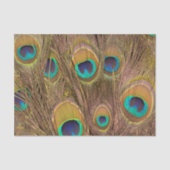 Schöne Brown Peacock Feathers Seidenpapier (Vorderseite)