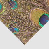 Schöne Brown Peacock Feathers Seidenpapier (Ausschnitt)
