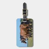 Schöne Bucht-Pferde Gepäckanhänger (Vorderseite vertikal)