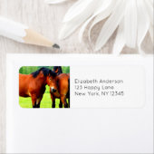 Schöne Bucht von Pferden in üppiger grüner Wiese (Insitu)