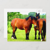 Schöne Bucht von Pferden in üppiger grüner Wiese Postkarte (Vorne/Hinten)