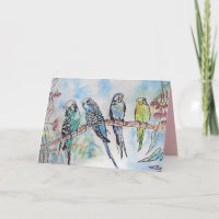 Schöne Budgien Budgerigars und Gum Blossom Card